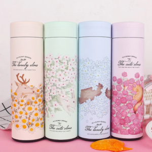 Thermos design 480ml