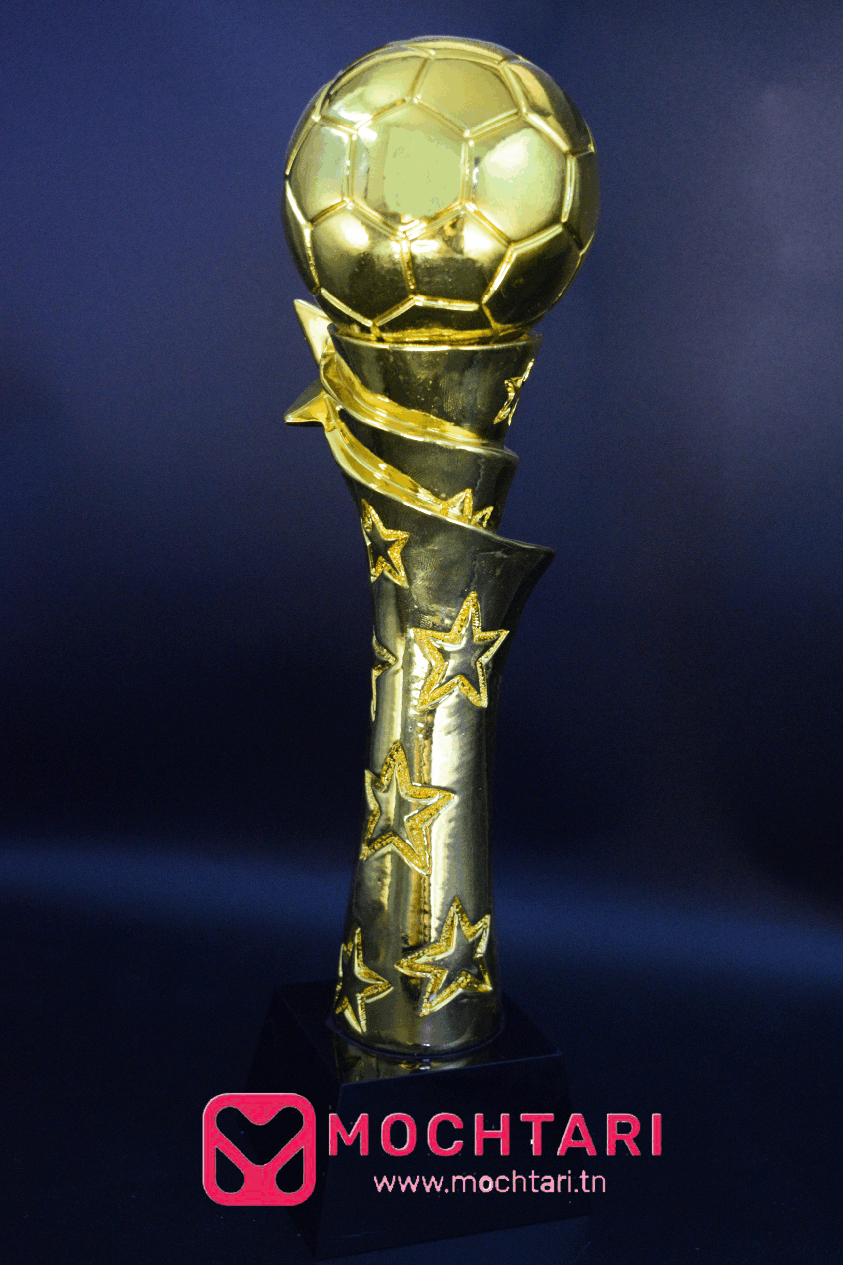 trophe handball Découvrez un trophée élégant et haut de gamme, parfait pour célébrer une victoire, un succès, ou marquer un événement spécial.